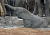 Addo Nationalpark - © Piet Heymans,